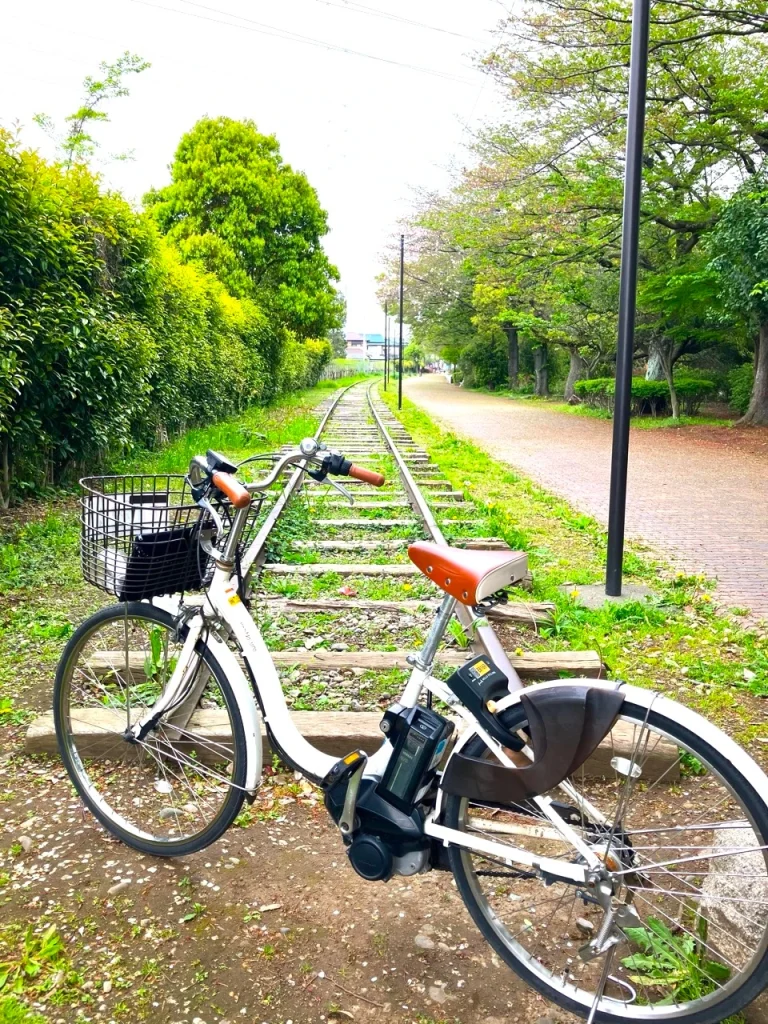 湘南ブルーベリーサイクリングクラブ Season2_Blueberry jam making experience_湘南茅ヶ崎グルメ50km_湘南鵠沼海岸自転車部9